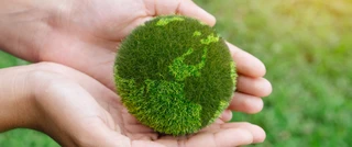 Manos sosteniendo una bola del mundo hecha de plantas