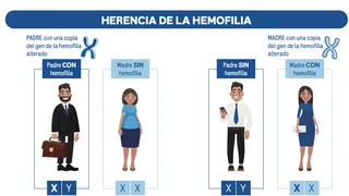 transmisión herencia hemofilia