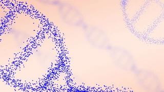 Layers of DNA strands