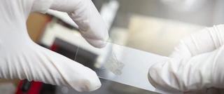 A person wearing white gloves holds a piece of paper, showcasing careful handling and attention to detail.