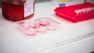 A laboratory table featuring a container of red liquid and a plastic bottle beside it.
