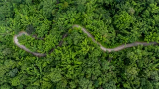 Aerial top view rural road in the forest, dirt road or mud road and rain forest